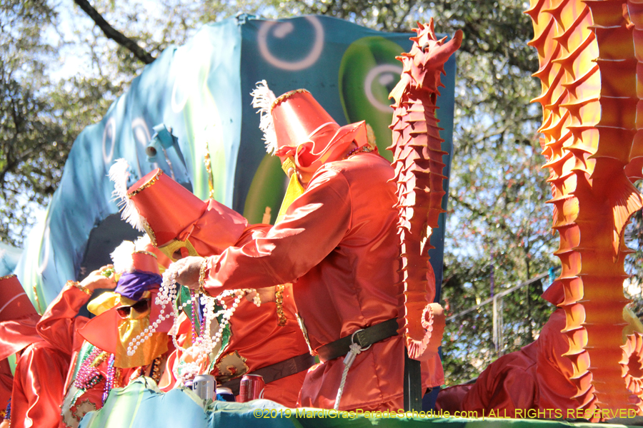 Krewe-of-Carrollton-2019-003094