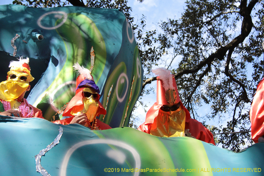 Krewe-of-Carrollton-2019-003096