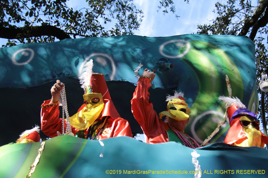 Krewe-of-Carrollton-2019-003097