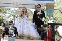 Krewe-of-Carrollton-2019-002976