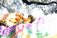 Krewe-of-Carrollton-2019-003029