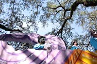 Krewe-of-Carrollton-2019-003062