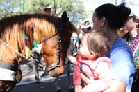 Krewe-of-Carrollton-2019-003068