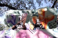 Krewe-of-Carrollton-2019-003074