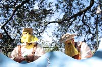 Krewe-of-Carrollton-2019-003084