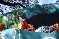 Krewe-of-Carrollton-2019-003098