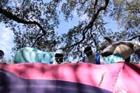 Krewe-of-Carrollton-2019-003106