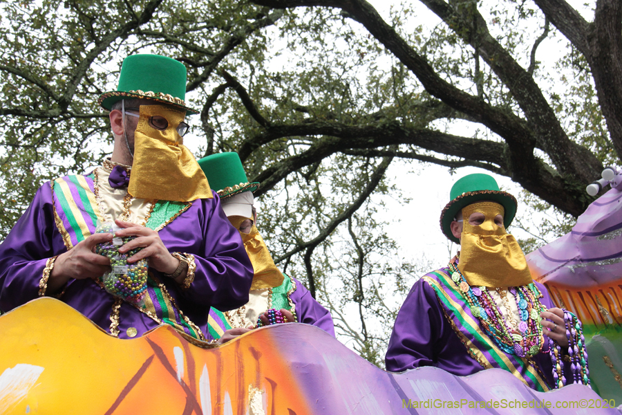 Krewe-of-Carrollton-2020-03440