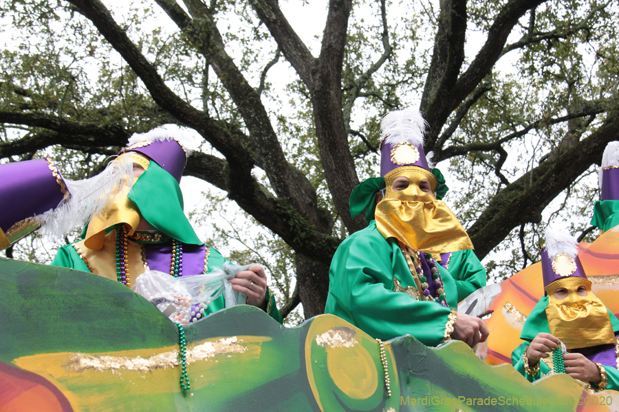 Krewe-of-Carrollton-2020-03464