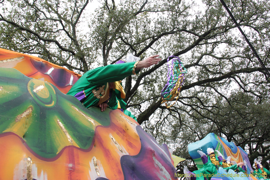 Krewe-of-Carrollton-2020-03469