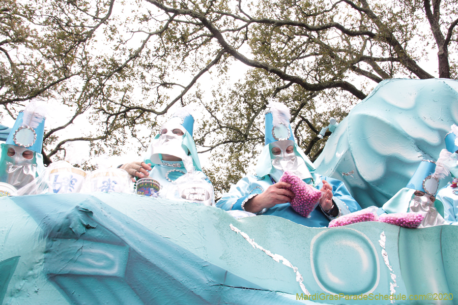 Krewe-of-Carrollton-2020-03481