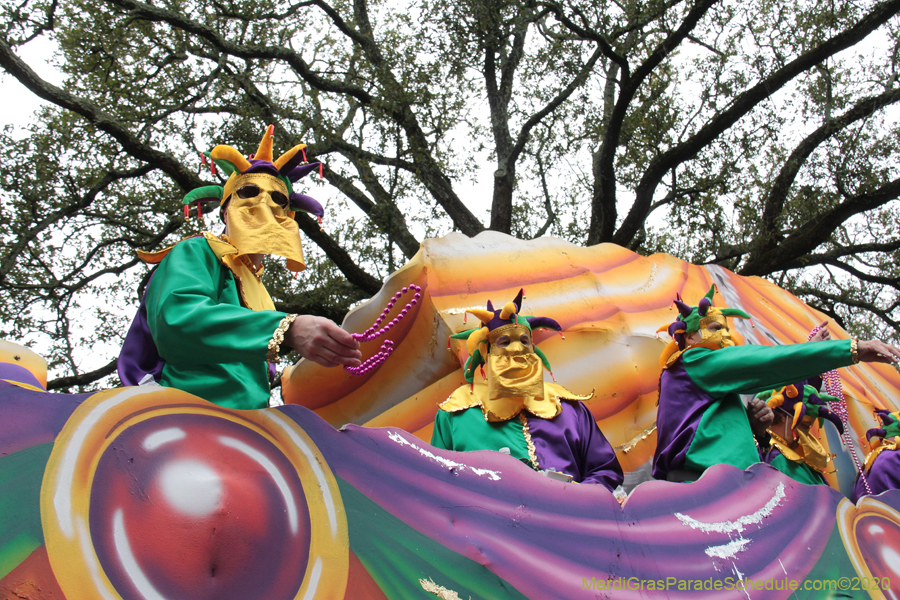 Krewe-of-Carrollton-2020-03492