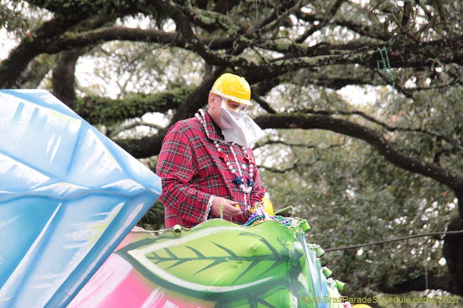 Krewe-of-Carrollton-2020-03497