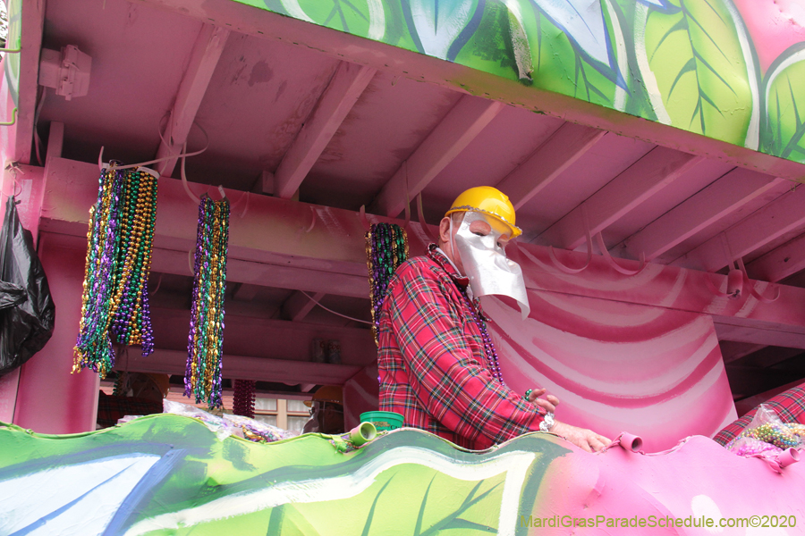 Krewe-of-Carrollton-2020-03499