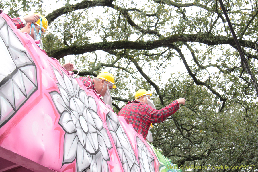 Krewe-of-Carrollton-2020-03500