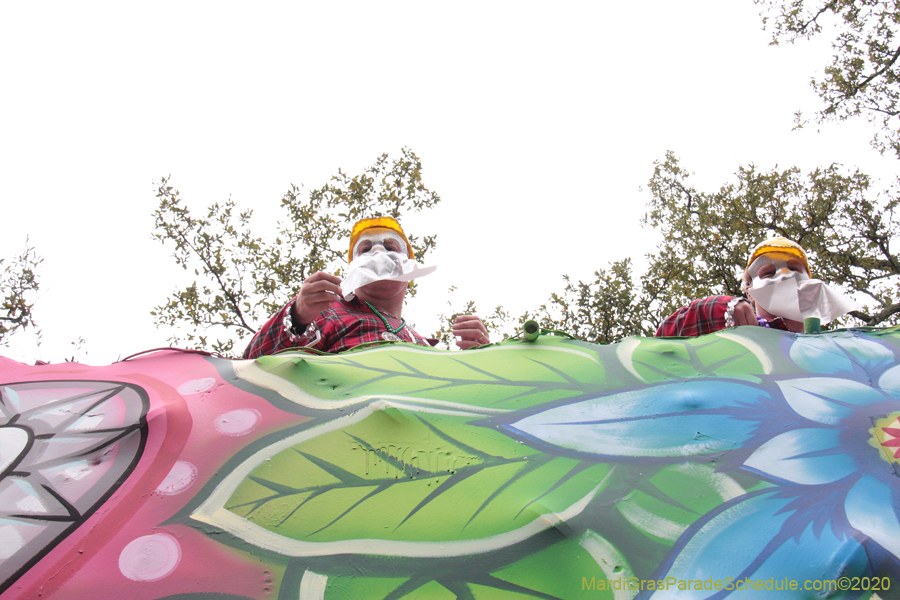 Krewe-of-Carrollton-2020-03503