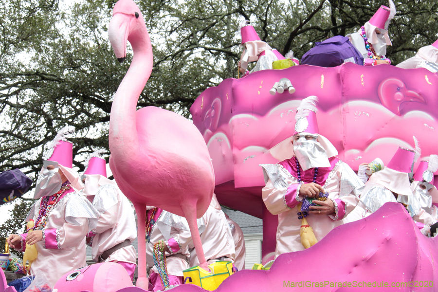 Krewe-of-Carrollton-2020-03540