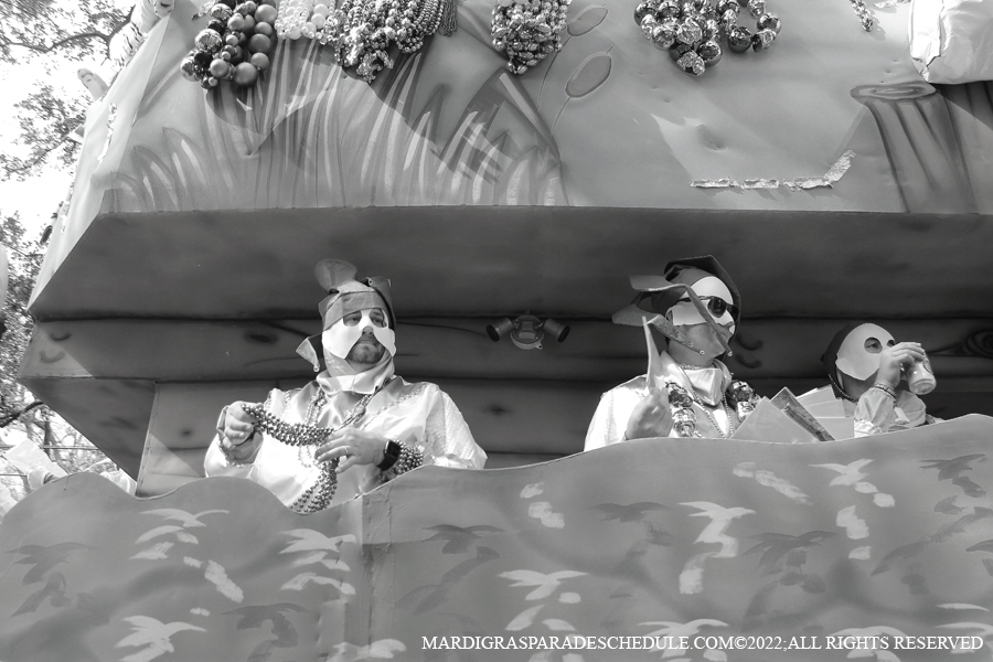 Krewe-of-Carrollton-00071-2022