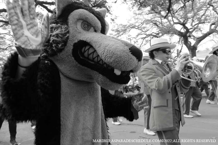 Krewe-of-Carrollton-00076-2022