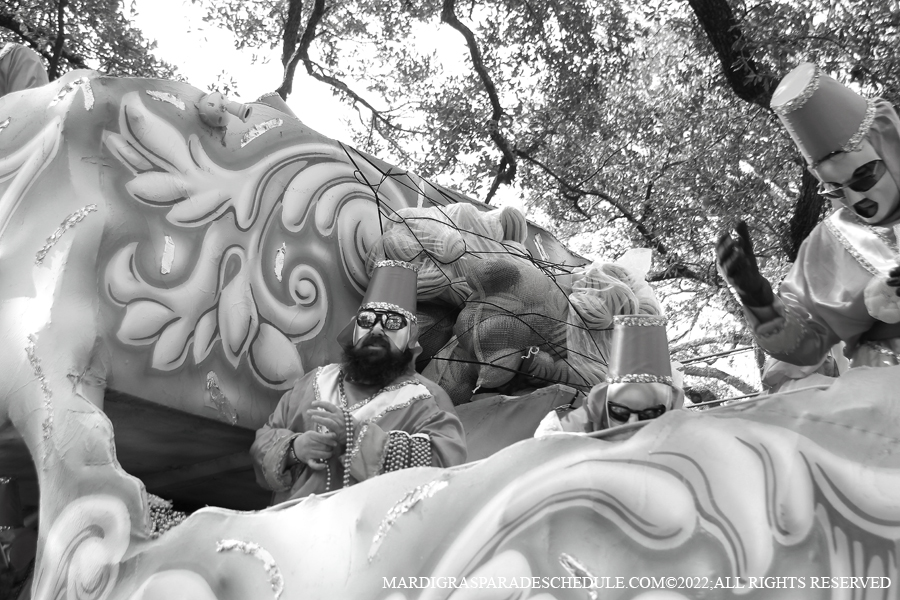 Krewe-of-Carrollton-00185-2022