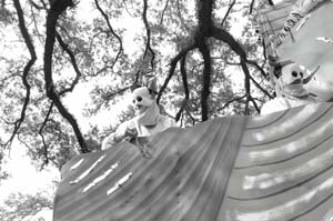 Krewe-of-Carrollton-00072-2022