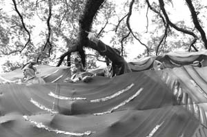 Krewe-of-Carrollton-00095-2022