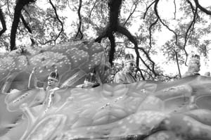 Krewe-of-Carrollton-00118-2022