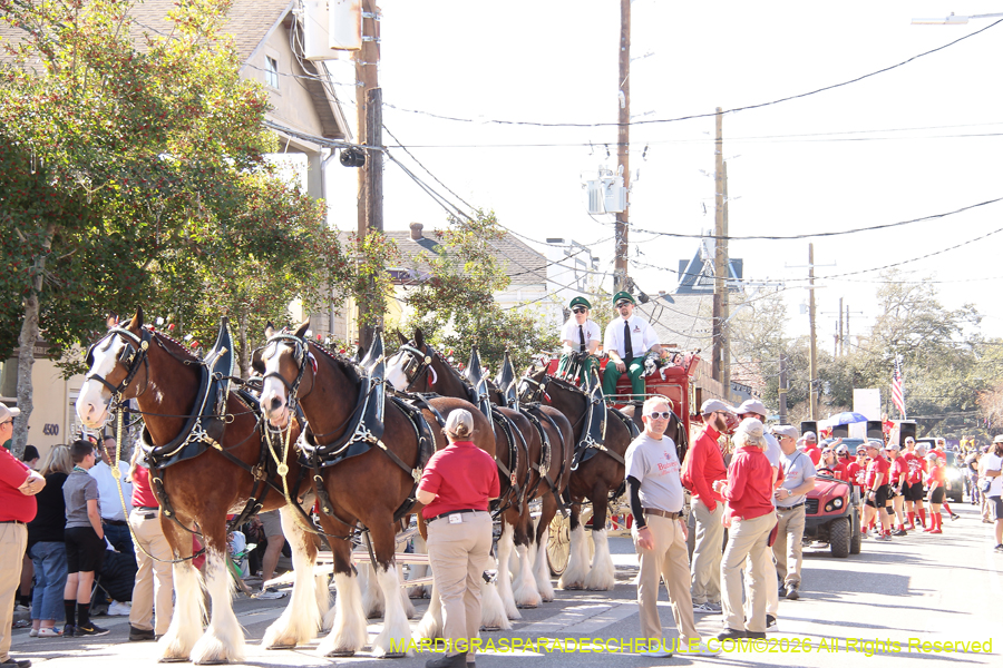 Krewe-of-Carrollton-2026-4643