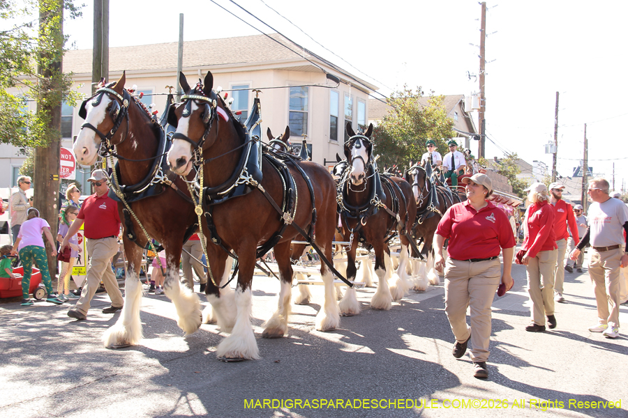 Krewe-of-Carrollton-2026-4644