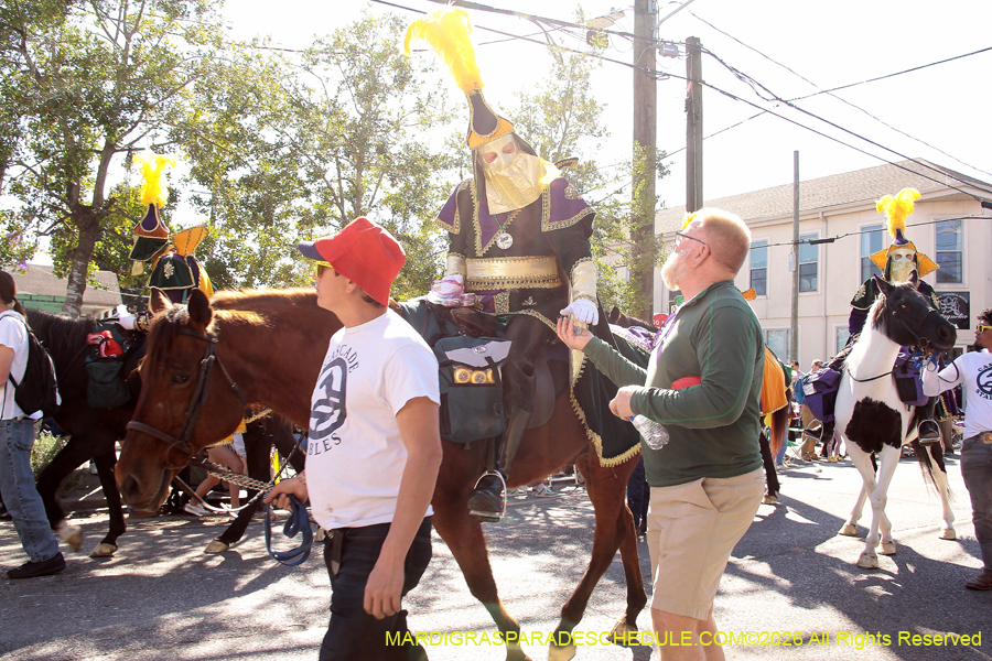 Krewe-of-Carrollton-2026-4657