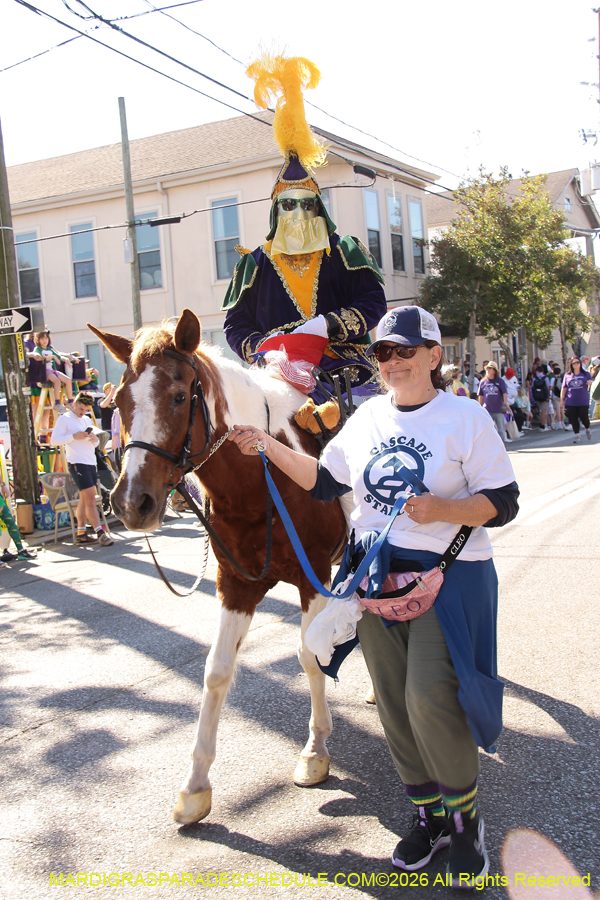 Krewe-of-Carrollton-2026-4658
