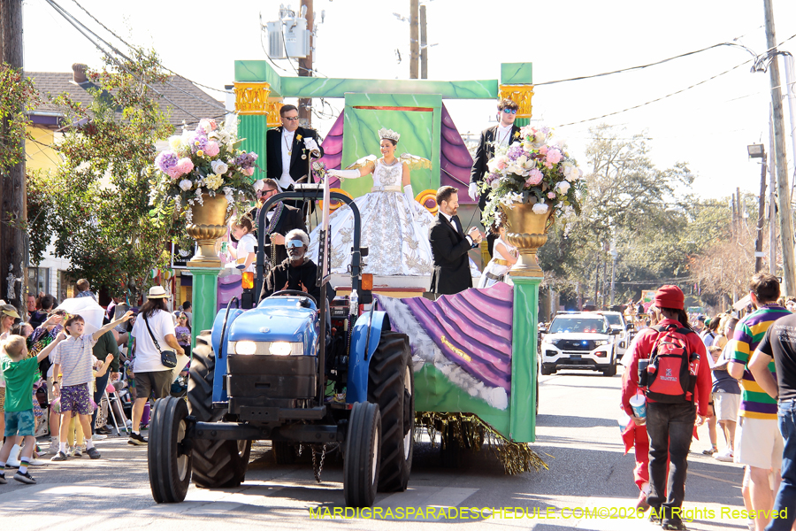 Krewe-of-Carrollton-2026-4683
