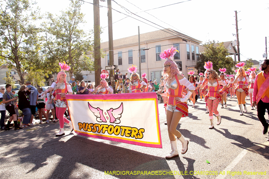 Krewe-of-Carrollton-2026-4733