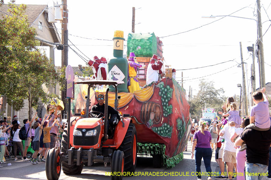 Krewe-of-Carrollton-2026-4739