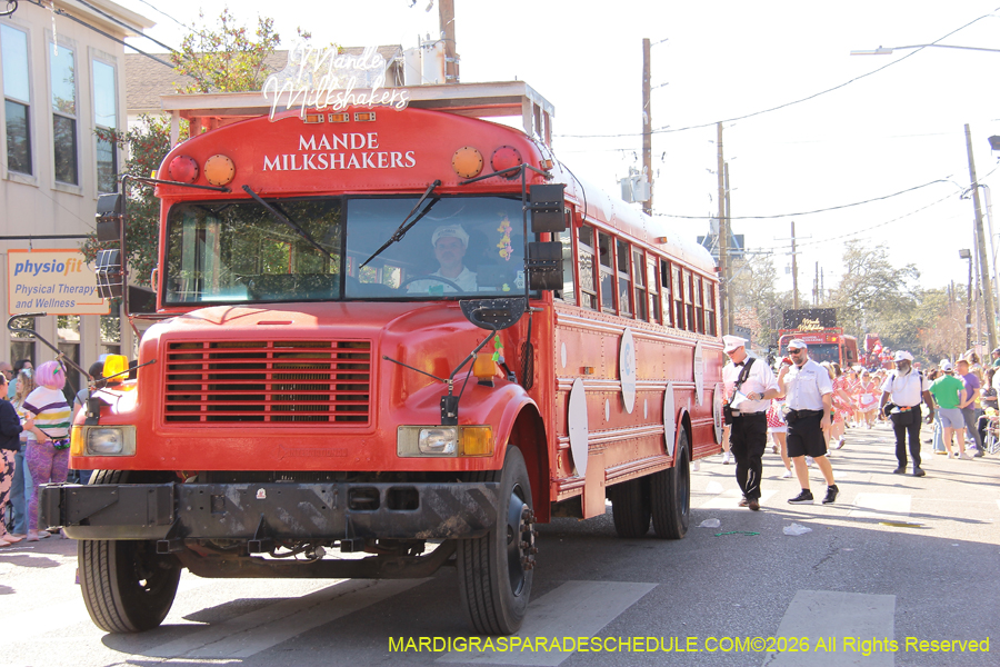 Krewe-of-Carrollton-2026-4758