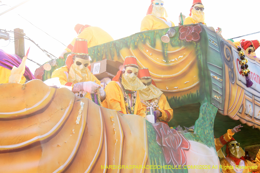 Krewe-of-Carrollton-2026-4794