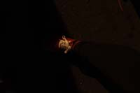 2018-Knights-of-Chaos-00004311