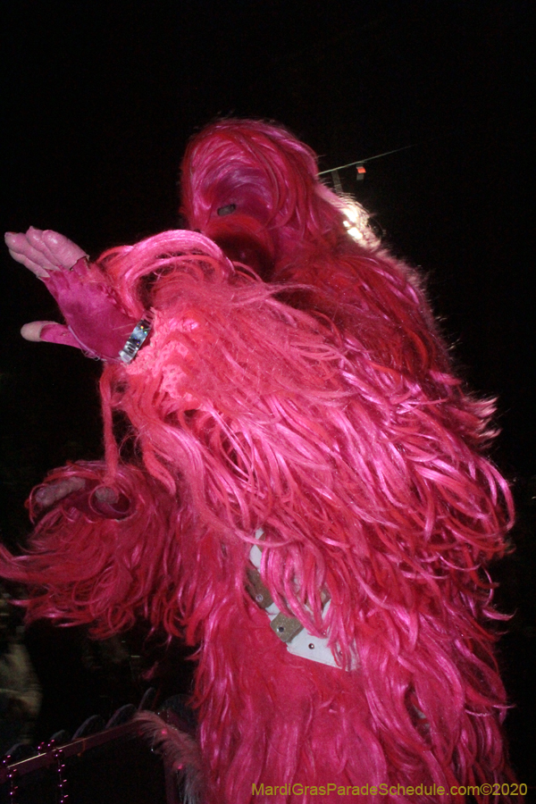 Int-Krewe-of-Chewbacchus-2020-00555