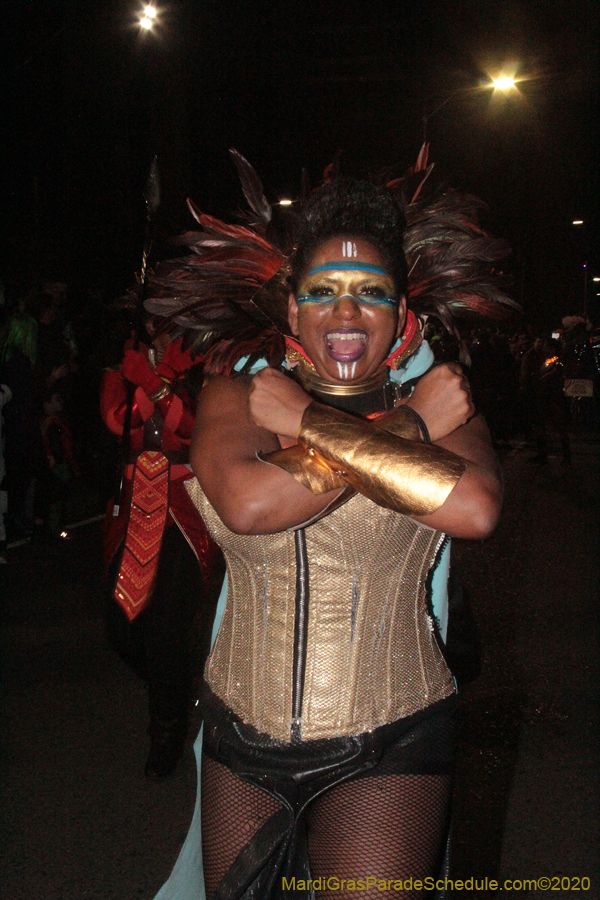 Int-Krewe-of-Chewbacchus-2020-00580