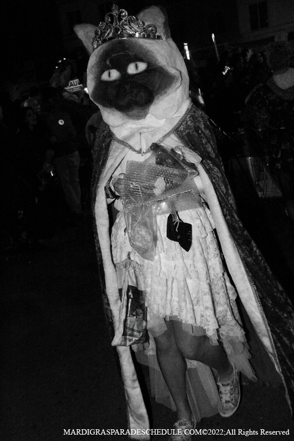 Krewe-of-Chewbacchus-00099-2022