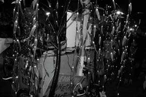 Krewe-of-Chewbacchus-00263-2022