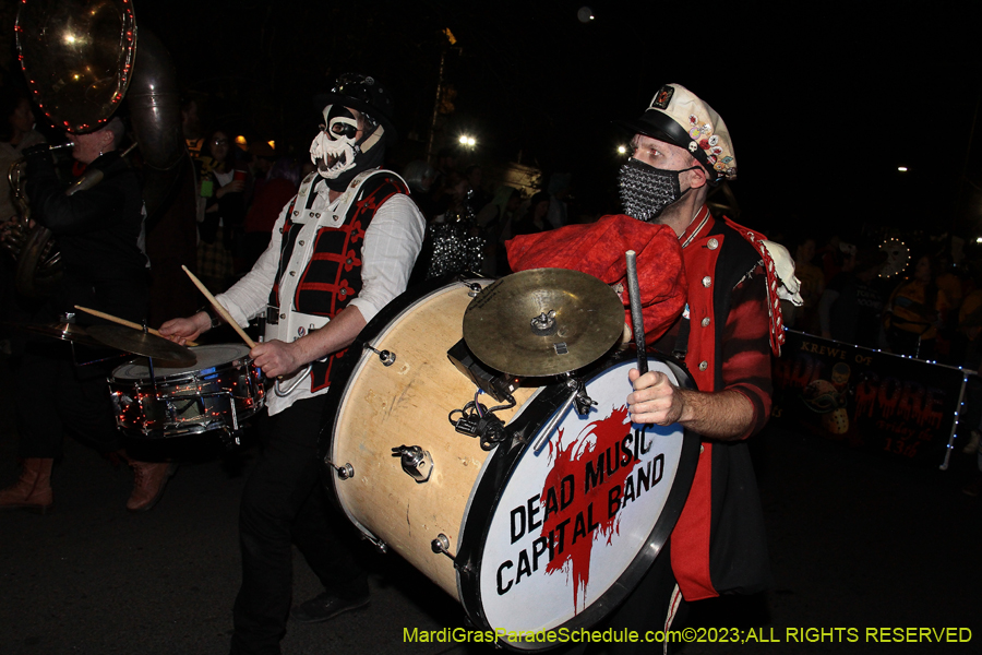 2023-IKO-Chewbacchus-00833