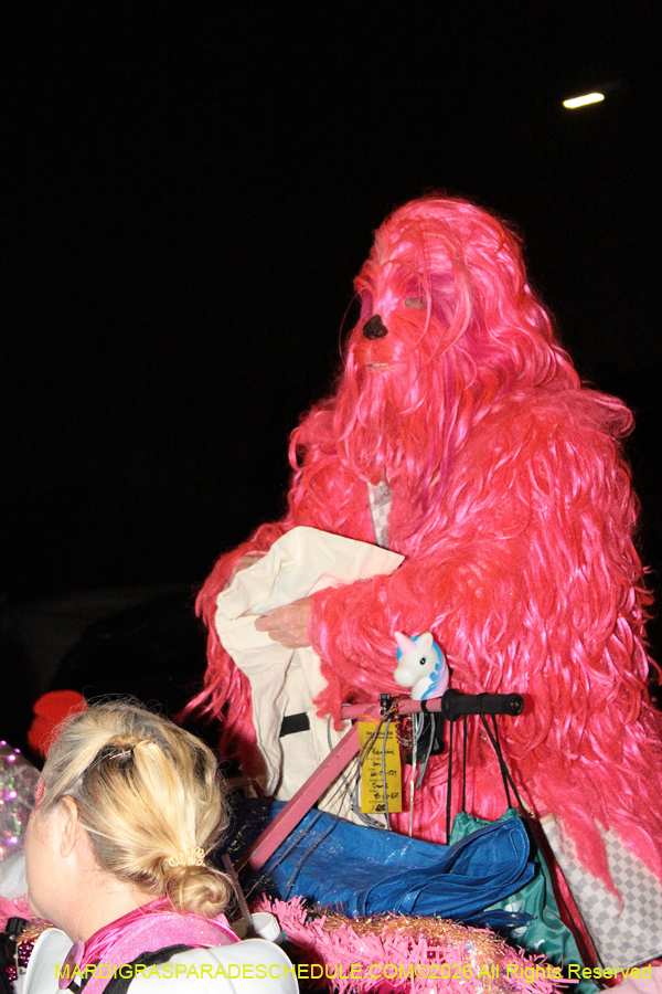 IG-Krewe-of-Chewbacchus-2026-0761