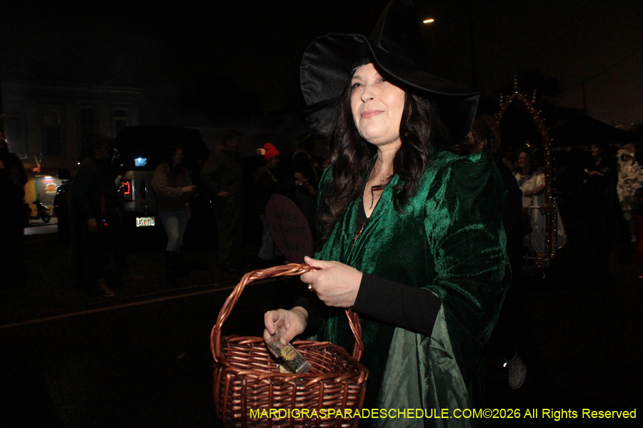 IG-Krewe-of-Chewbacchus-2026-1074