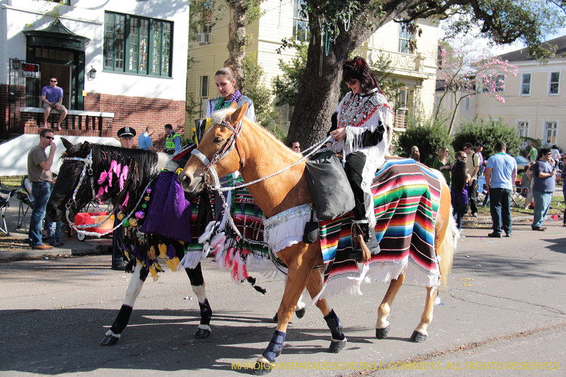 Krewe-of-Choctaw-2013-1044