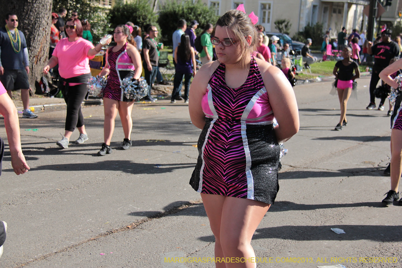 Krewe-of-Choctaw-2013-1075