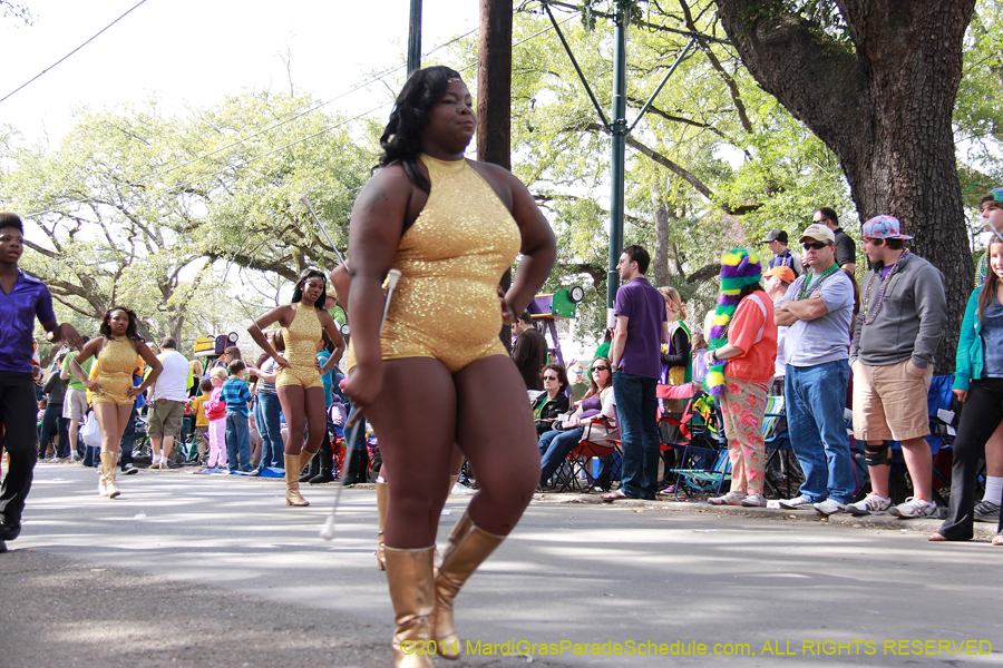 2014-Krewe-of-Choctaw11082