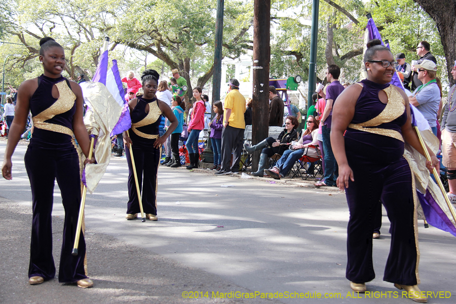 2014-Krewe-of-Choctaw11086