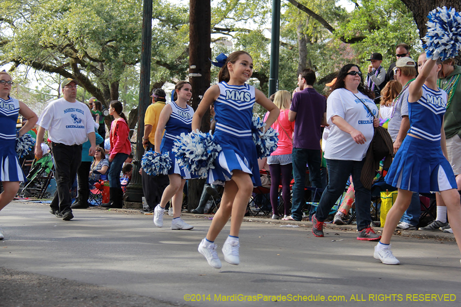 2014-Krewe-of-Choctaw11134