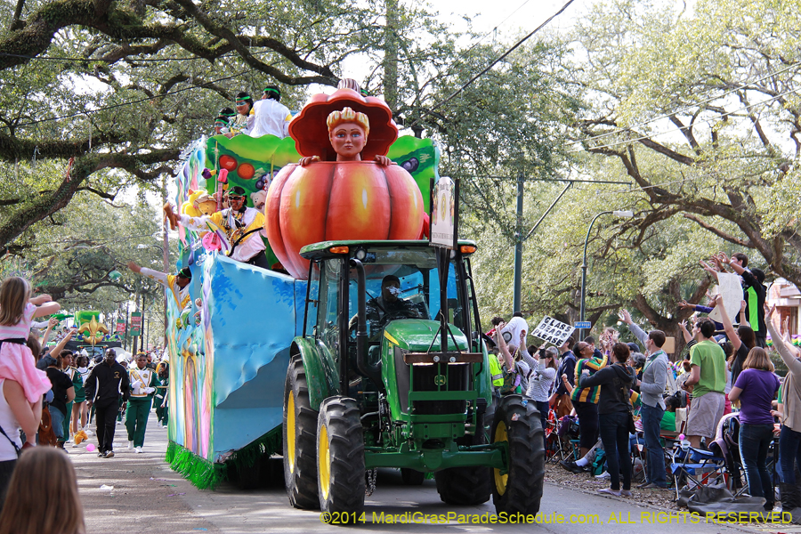 2014-Krewe-of-Choctaw11135